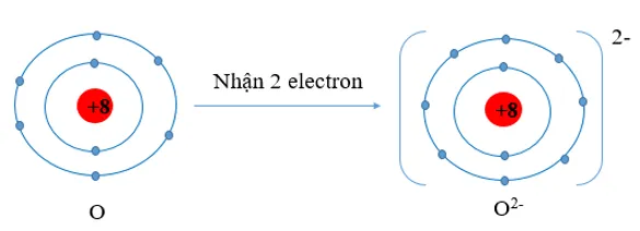 Hãy dự đoán xu hướng nhường, nhận electron của mỗi nguyên tử trong từng cặp nguyên tử sau Luyen Tap 2 Trang 51 Hoa Hoc 10 1