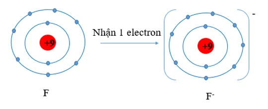 Hãy dự đoán xu hướng nhường, nhận electron của mỗi nguyên tử trong từng cặp nguyên tử sau Luyen Tap 2 Trang 51 Hoa Hoc 10 3