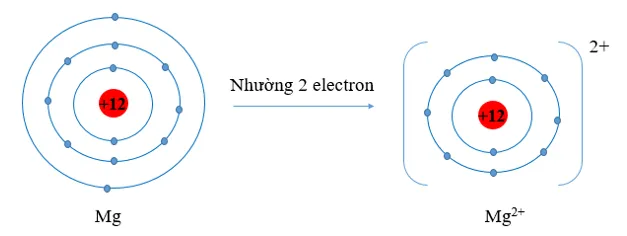 Hãy dự đoán xu hướng nhường, nhận electron của mỗi nguyên tử trong từng cặp nguyên tử sau Luyen Tap 2 Trang 51 Hoa Hoc 10 4