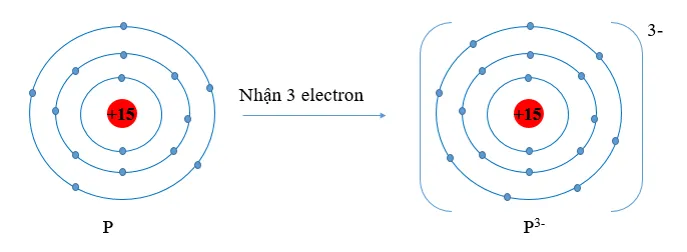 Hãy dự đoán xu hướng nhường, nhận electron của mỗi nguyên tử trong từng cặp nguyên tử sau Luyen Tap 2 Trang 51 Hoa Hoc 10 5