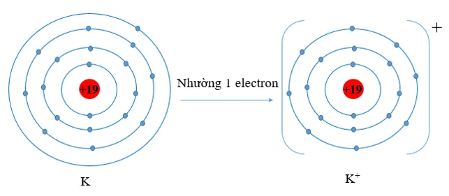 Hãy dự đoán xu hướng nhường, nhận electron của mỗi nguyên tử trong từng cặp nguyên tử sau Luyen Tap 2 Trang 51 Hoa Hoc 10