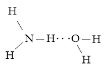 Vẽ các liên kết hydrogen được hình thành giữa H2O với mỗi phân tử NH3, C2H5OH Luyen Tap 2 Trang 66 Hoa Hoc 10 1