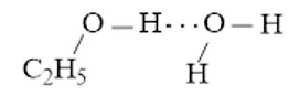 Vẽ các liên kết hydrogen được hình thành giữa H2O với mỗi phân tử NH3, C2H5OH Luyen Tap 2 Trang 66 Hoa Hoc 10 2