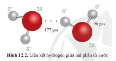 Hai phân tử nước có thể liên kết được với nhau. Dựa vào sự phân bố điện tích Mo Dau Trang 64 Hoa Hoc 10 1