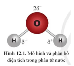 Hai phân tử nước có thể liên kết được với nhau. Dựa vào sự phân bố điện tích Mo Dau Trang 64 Hoa Hoc 10