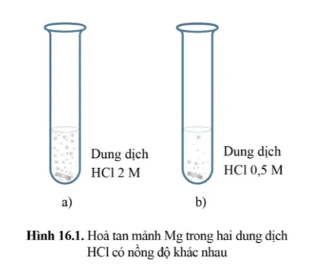 Cho hai mảnh Mg cùng khối lượng vào hai ống nghiệm chứa cùng thể tích dung dịch HCl dư Mo Dau Trang 88 Hoa Hoc 10