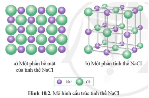 Quan sát hình 10.2 để lắp ráp mô hình tinh thể NaCl từ các quả cầu Thuc Hanh 1 Trang 55 Hoa Hoc 10