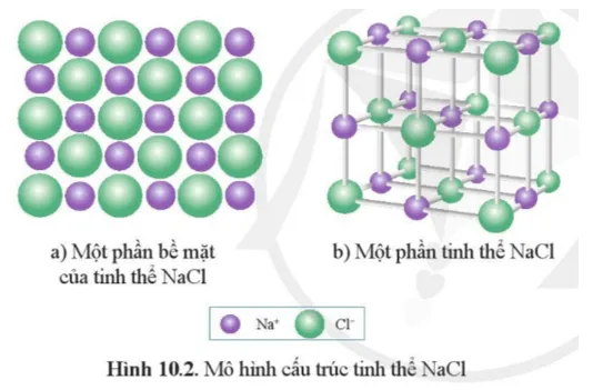 Từ mô hình NaCl, hãy cho biết xung quanh mỗi ion Na+ có bao nhiêu ion Cl- Thuc Hanh 2 Trang 55 Hoa Hoc 10