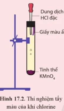 Thí nghiệm tính tẩy màu của khí chlorine Thuc Hanh Trang 106 Hoa Hoc 10