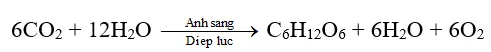 Hãy nêu một số ví dụ về phản ứng hóa học xảy ra trong tự nhiên Van Dung 1 Trang 7 Hoa Hoc 10