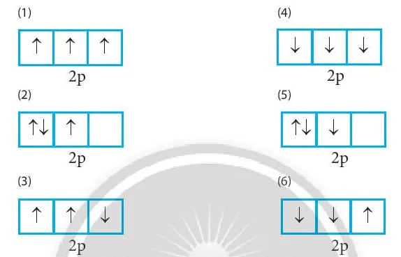Trong các cách biểu diễn electron vào các orbital của phân lớp 2p (ảnh 1) Bai 1 Trang 34 Hoa Hoc 10 134749