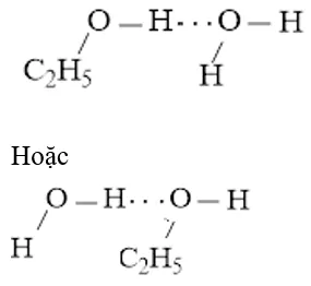 Biểu diễn liên kết hydrogen giữa các phân tử (ảnh 1) Bai 4 Trang 71 Hoa Hoc 10 135074