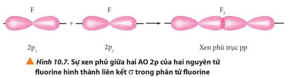 Sự xen phủ giữa hai orbital p trong trường hợp nào sẽ tạo thành liên kết (ảnh 1) Bai 6 Trang 66 Hoa Hoc 10 135397