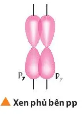 Sự xen phủ giữa hai orbital p trong trường hợp nào sẽ tạo thành liên kết (ảnh 1) Bai 6 Trang 66 Hoa Hoc 10 135398