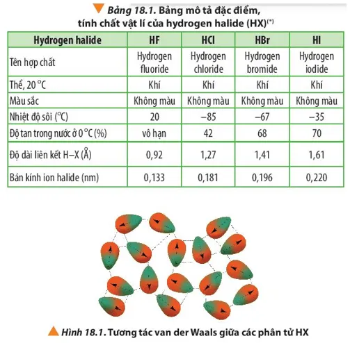 Dựa vào Bảng 18.1 và Hình 18.1, cho biết nhiệt độ sôi của các hydrogen halide Cau Hoi 1 Trang 114 Hoa Hoc 10