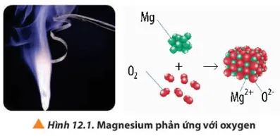 Quan sát Hình 12.1, hãy viết quá trình nhường và nhận electron trong phản ứng giữa magnesium và oxygen Cau Hoi 1 Trang 72 Hoa Hoc 10