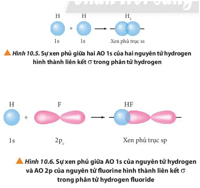 Quan sát các Hình từ 10.5 đến 10.8, cho biết liên kết nào trong mỗi phân tử (ảnh 1) Cau Hoi 11 Trang 63 Hoa Hoc 10 135363