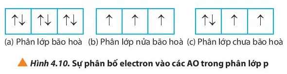 Quan sát Hình 4.10, hãy nhận xét số lượng electron độc thân ở mỗi trường hợp (ảnh 1) Cau Hoi 12 Trang 31 Hoa Hoc 10 134745