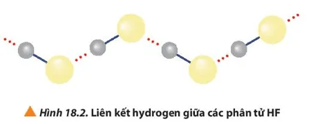 Quan sát Hình 18.2, giải thích nhiệt độ sôi cao bất thường của hydrogen fluorine Cau Hoi 2 Trang 115 Hoa Hoc 10