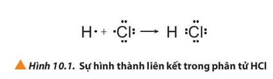 Giải thích sự hình thành liên kết trong các phân tử HCl, O2 và N2 (ảnh 1) Cau Hoi 2 Trang 59 Hoa Hoc 10 135352