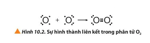 Giải thích sự hình thành liên kết trong các phân tử HCl, O2 và N2 (ảnh 1) Cau Hoi 2 Trang 59 Hoa Hoc 10 135353
