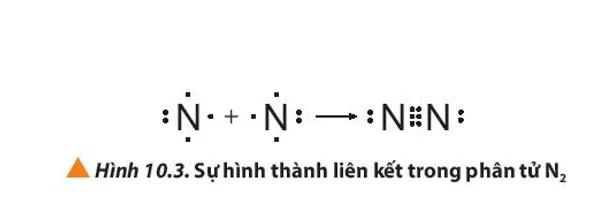 Giải thích sự hình thành liên kết trong các phân tử HCl, O2 và N2 (ảnh 1) Cau Hoi 2 Trang 59 Hoa Hoc 10 135354