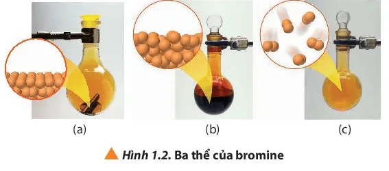 Quan sát Hình 1.2, cho biết ba thể của bromine tương ứng với mỗi hình (ảnh 1) Cau Hoi 2 Trang 6 Hoa Hoc 10 134545