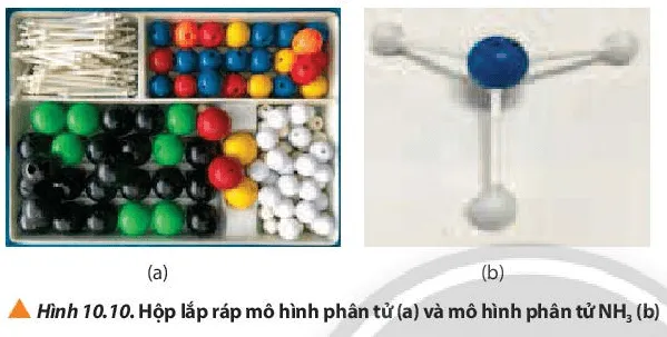 Trình bày các bước trong quá trình lắp ráp mô hình phân tử NH3 (ảnh 1) Cau Hoi 20 Trang 66 Hoa Hoc 10 135384
