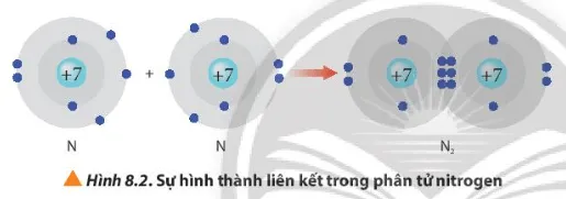 Từ Hình 8.2, cho biết mỗi nguyên tử nitrogen đã đạt được cấu hình electron (ảnh 1) Cau Hoi 3 Trang 53 Hoa Hoc 10 134855