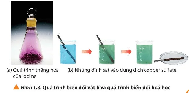 Quan sát Hình 1.3, cho biết trong các quá trình (ảnh 1) Cau Hoi 3 Trang 7 Hoa Hoc 10 134546