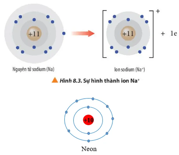 Ion sodium và ion fluoride có cấu hình electron của các khi hiếm tương ứng nào? (ảnh 1) Cau Hoi 4 Trang 53 Hoa Hoc 10 134858