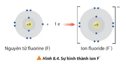 Ion sodium và ion fluoride có cấu hình electron của các khi hiếm tương ứng nào? (ảnh 1) Cau Hoi 4 Trang 53 Hoa Hoc 10 134859