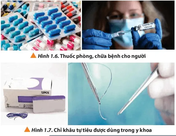 Quan sát các Hình từ 1.4 đến 1.10, cho biết hóa học có ứng dụng (ảnh 1) Cau Hoi 4 Trang 7 Hoa Hoc 10 134552