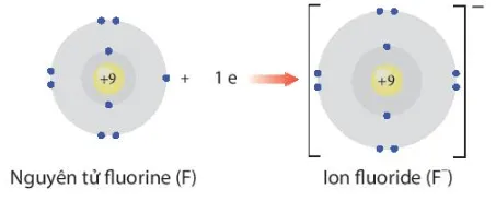 Giải thích sự hình thành ion Na+ và ion F- (ảnh 1) Cau Hoi 5 Trang 45 Hoa Hoc 10 134834