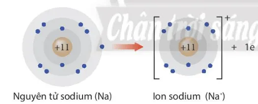 Giải thích sự hình thành ion Na+ và ion F- (ảnh 1) Cau Hoi 5 Trang 45 Hoa Hoc 10 134835