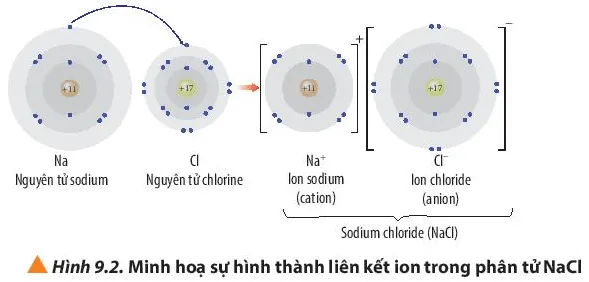 Quan sát Hình 9.2, hãy trình bày sự hình thành liên kết ion trong phân tử NaCl (ảnh 1) Cau Hoi 5 Trang 56 Hoa Hoc 10 134967