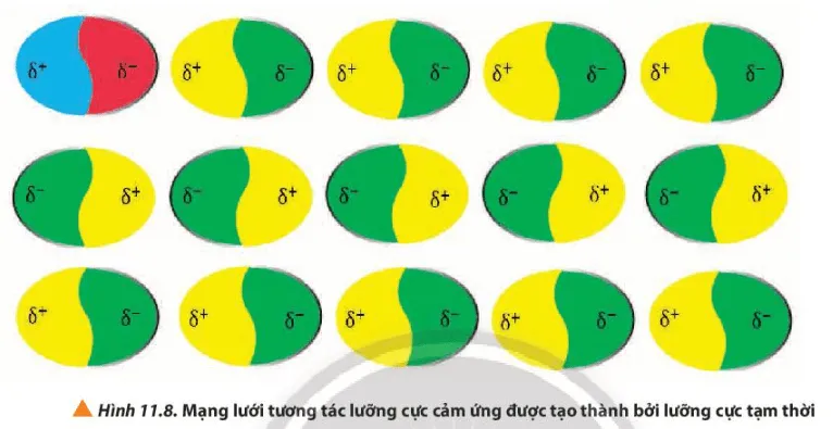 Các lưỡng cực tạm thời và lưỡng cực cảm ứng hút nhau bằng lực hút nào? (ảnh 1) Cau Hoi 7 Trang 70 Hoa Hoc 10 135064