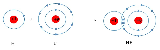 Nguyên tử của các nguyên tố hydrogen và fluorine có xu hướng cho đi (ảnh 1) Luyen Tap Trang 53 Hoa Hoc 10 134857
