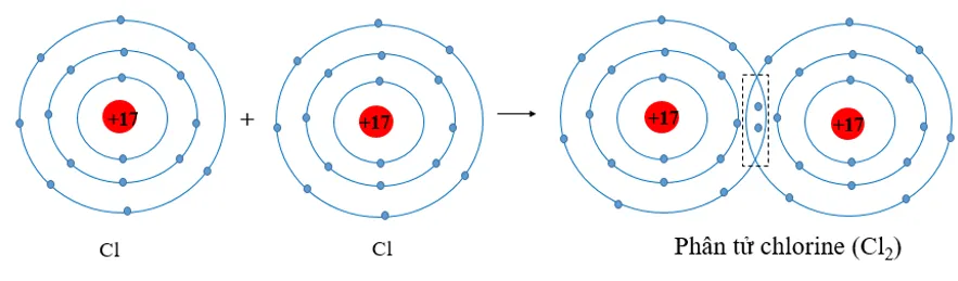Trình bày sự hình thành liên kết cộng hóa trị trong phân tử Cl2 (ảnh 1) Luyen Tap Trang 60 Hoa Hoc 10 135355