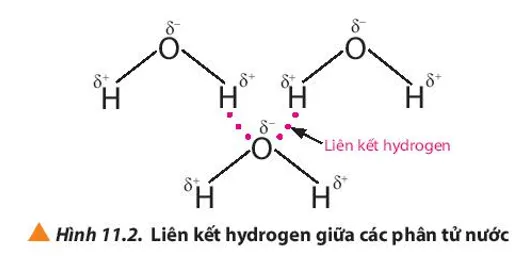 Điều gì đã khiến H2O có nhiệt độ sôi cao hơn H2S? (ảnh 1) Luyen Tap Trang 68 Hoa Hoc 10 135055