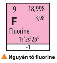 Fluorine được sử dụng làm chất oxi hóa cho nhiên liệu lỏng dùng trong tên lửa (ảnh 1) Mo Dau Trang 49 Hoa Hoc 10 134843