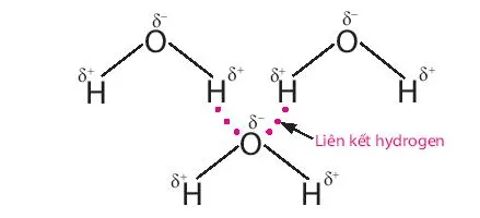 Các nhà hóa học đã nghiên cứu và kết luận rằng nếu không có liên kết hydrogen (ảnh 1) Mo Dau Trang 67 Hoa Hoc 10 135061