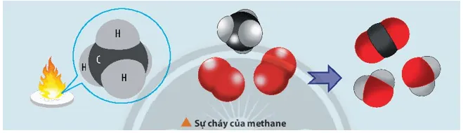 Methane cháy tỏa nhiệt lớn nên được dùng làm nhiên liệu Mo Dau Trang 88 Hoa Hoc 10