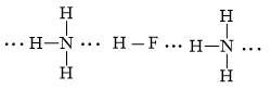 Vẽ sơ đồ biểu diễn liên kết hydrogen giữa Cau Hoi 1 Trang 66 Hoa Hoc 10