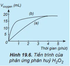 Thực hiện hai phản ứng phân huỷ H2O2 một phản ứng có xúc tác MnO2 Cau Hoi 9 Trang 99 Hoa Hoc 10