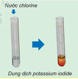 So sánh tính kim phi của chlorine và iodine Hoat Dong 2 Trang 38 Hoa Hoc 10