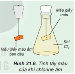 Tìm hiểu tính tẩy màu của khí chlorine ẩm Hoat Dong Trang 109 Hoa Hoc 10