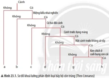 Bài 23: Thực hành xây dựng khóa lưỡng phân Bai 23 Thuc Hanh Xay Dung Khoa Luong Phan 56558