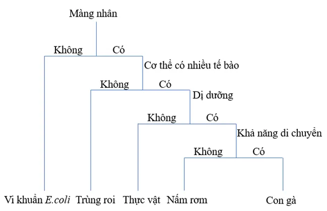 Bài 23: Thực hành xây dựng khóa lưỡng phân Bai 23 Thuc Hanh Xay Dung Khoa Luong Phan