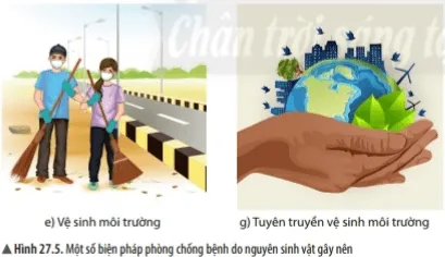 Bài 27: Nguyên sinh vật Bai 27 Nguyen Sinh Vat 56615